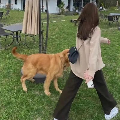 夏洛克的孩子们